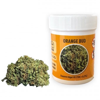 AFRODISÍACOS Afrodisíacos Mulher Orange Bud CBD