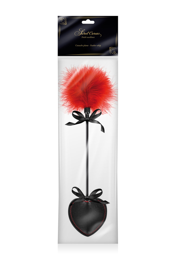 570073 Chicote Coração Chicote Coração