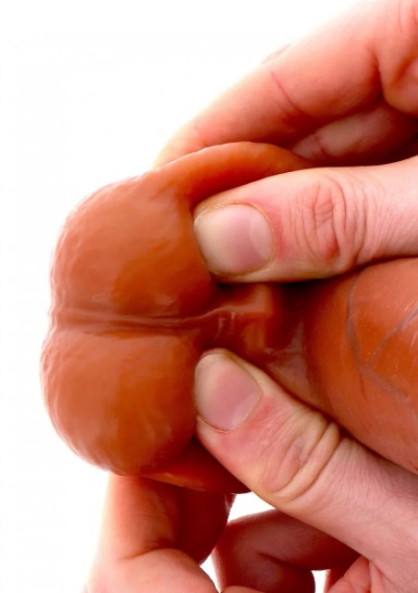 SEXTOY MULHER Get Real Foreskin Dildo 20 cm Get Real Foreskin Dildo 20 cm