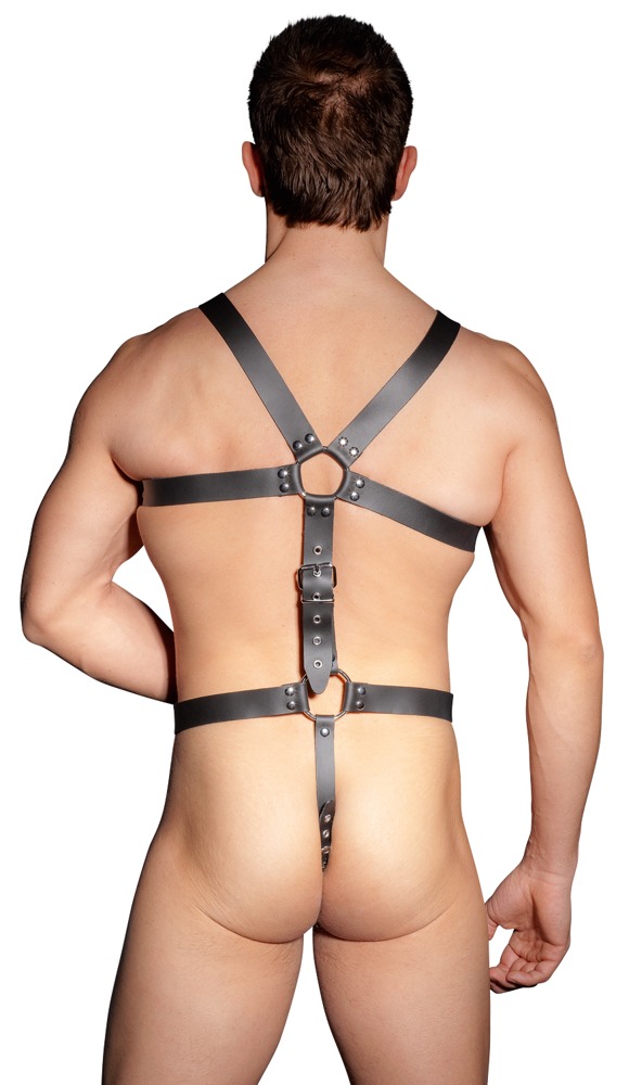 Zado Harness S-L Zado Harness S-L