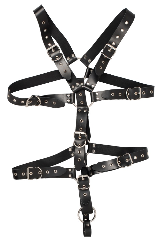 Zado Harness S-L Zado Harness S-L