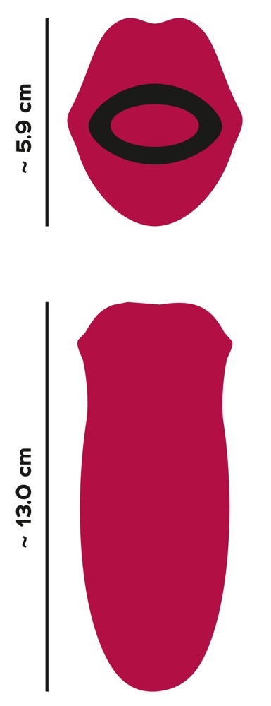 SEXTOY MULHER Oral Fun Vibrator Moving Lips and Vibrating Tongue Oral Fun Vibrator Moving Lips and Vibrating Tongue