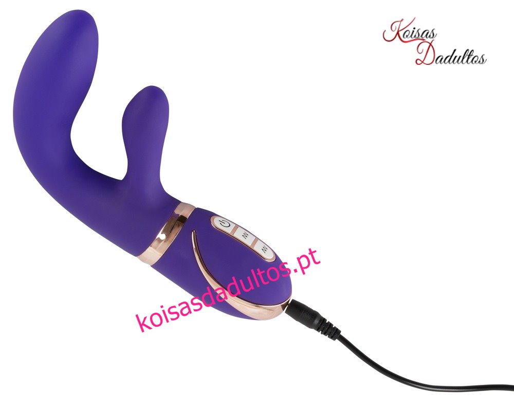 5944310000 Vibrador Ravish Vibrador Ravish